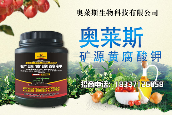 �`֥���a(ch��n)����(ji��)��ʲô�r�����`֥���϶�ľ�������༼�g(sh��)��