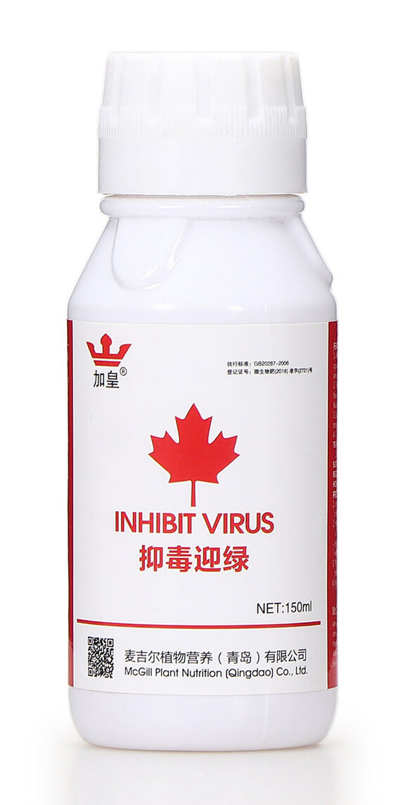 抑毒迎綠（專治病毒?。?綠肥5