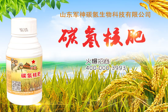 碳?xì)浜朔适鞘裁捶?？為什么效果這么好？