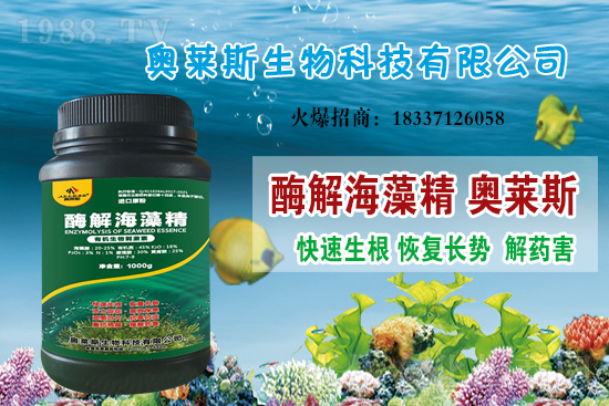 �󶹃r(ji��)��߀��(hu��)�ϝq�������մ󶹃r(ji��)������