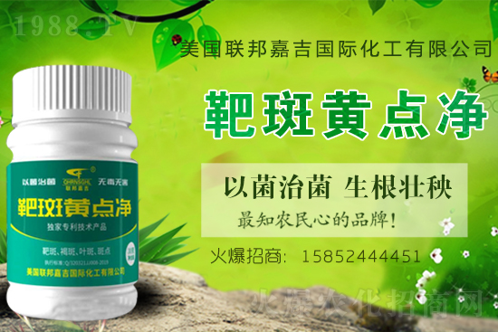 2021������һ���^(q��)�R������a(ch��n)���g��Ҋ