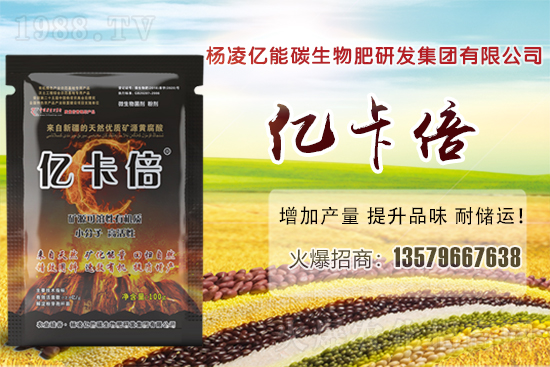 ���}�ۮa�����҇���Щʡ�������}������Щ��ҊƷ�N��