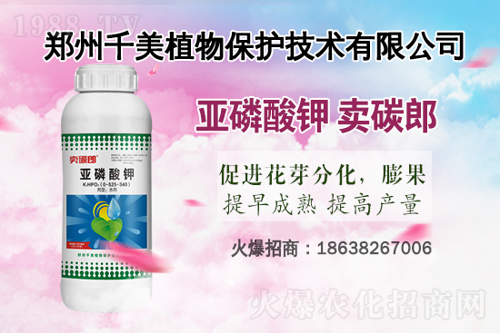 2021年水稻細(xì)菌性條斑病防控技術(shù)意見