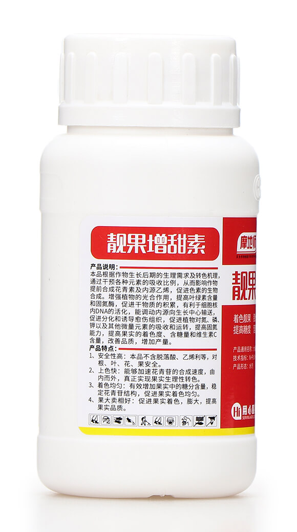 240���n�������� Ħ�؎�6