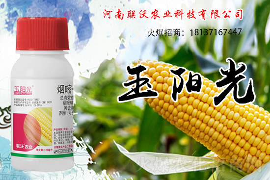 ���׳��ݞ�ʲô�x����������������݄���δ���