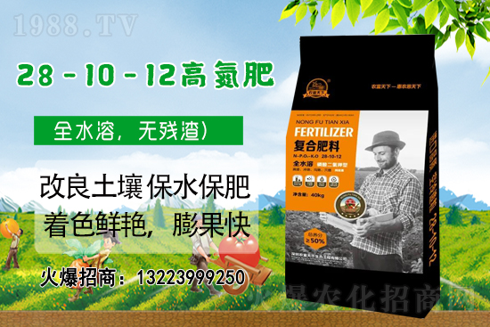 �����������������A���r(n��ng)�������ٺ�1988.TV��(chu��ng)���x����