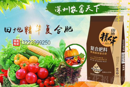 �����������������A���r(n��ng)�������ٺ�1988.TV��(chu��ng)���x����