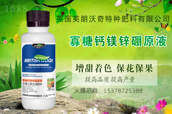 Ӣ������ɹ����s1988.TV���y�ֹ���(chu��ng)��(zh��n)����