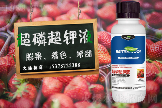 Ӣ������ɹ����s1988.TV���y�ֹ���(chu��ng)��(zh��n)����