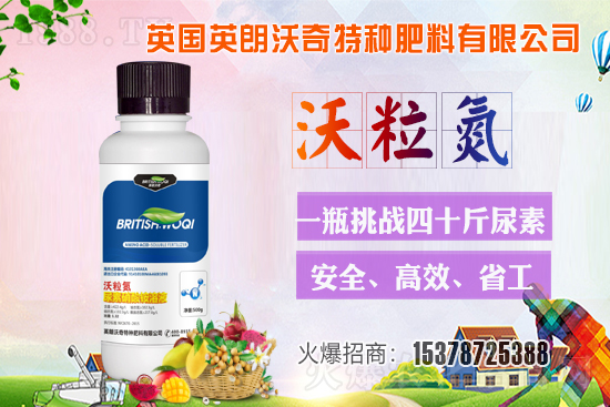 Ӣ������ɹ����s1988.TV���y�ֹ���(chu��ng)��(zh��n)����