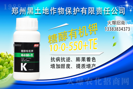 ⛷ʃr(ji��)���ϝq��2021��6��10��⛷ʃr(ji��)�������߄�(sh��)