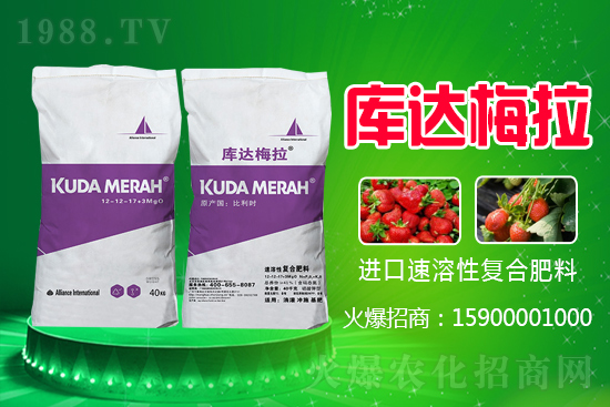 紅三角復(fù)合肥多少錢一噸?2021.6.16化肥價格行情報(bào)價