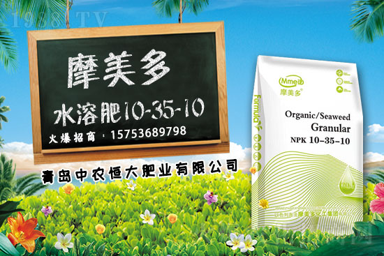 ���B�ďͺϷʳ��S��r��2021.6.12�A�е؅^(q��)�ͺϷʃr���߄�