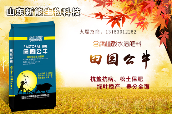 ⛷ʸ�λ�\(y��n)����2021��6��18�Շ�(gu��)��(n��i)⛷ʃr(ji��)������