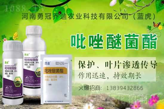 ��������(j��)���¹چ̵ϣ��{(l��n)�����ٺ�1988.TV������(chu��ng)���x����