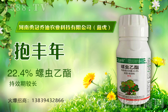 ��������(j��)���¹چ̵ϣ��{(l��n)�����ٺ�1988.TV������(chu��ng)���x����