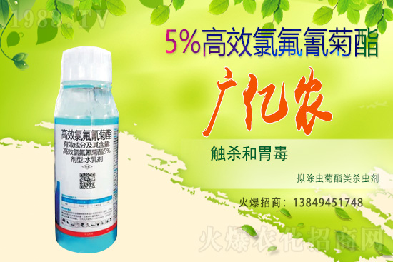 ���x���r��