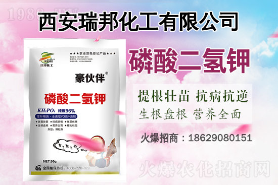 �Ȼ�⛸߃r(ji��)�\(y��n)����2021.6.29⛷ʃr(ji��)��������?q��ng)?b��o)