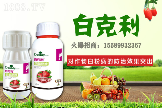 ��(gu��)�|���m(x��)�s1988.TV����(zh��n)�Ժ����P(gu��n)ϵ�������_(t��i)�A��