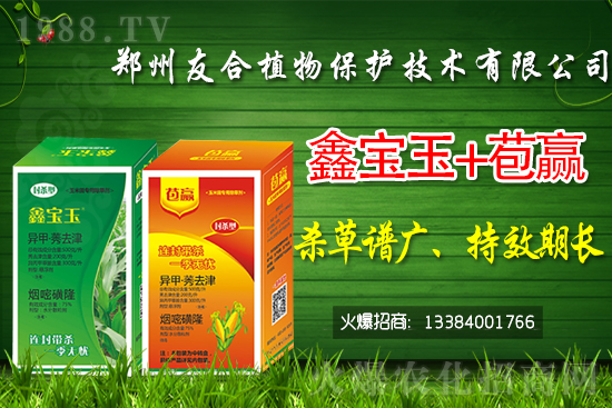 2021��7��1�ղݸ�좳��݄��r(ji��)������