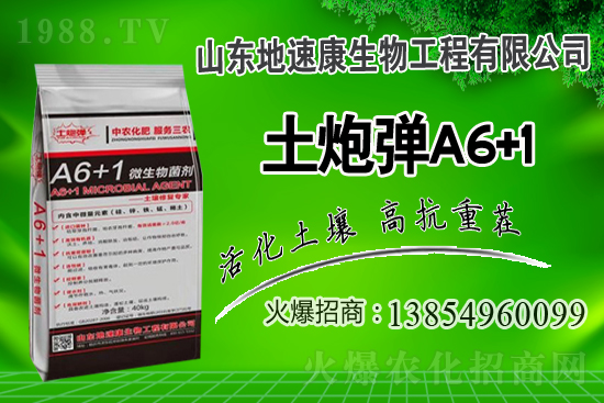    �����P(gu��n)ϵ�����A��ɽ�|���ٿ��c1988.TV�_(k��i)����ƪ����