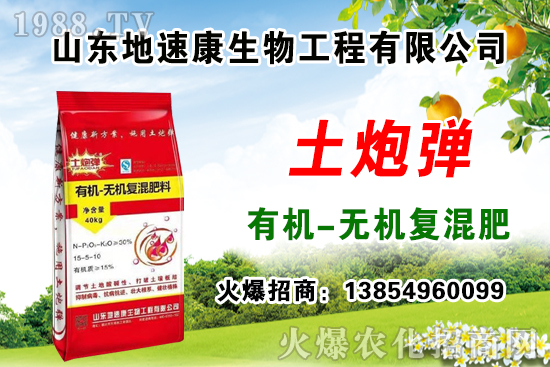    �����P(gu��n)ϵ�����A��ɽ�|���ٿ��c1988.TV�_(k��i)����ƪ����