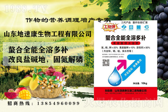    �����P(gu��n)ϵ�����A��ɽ�|���ٿ��c1988.TV�_(k��i)����ƪ����