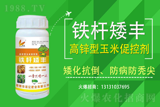 2021年7月13日今日玉米價格行情日報