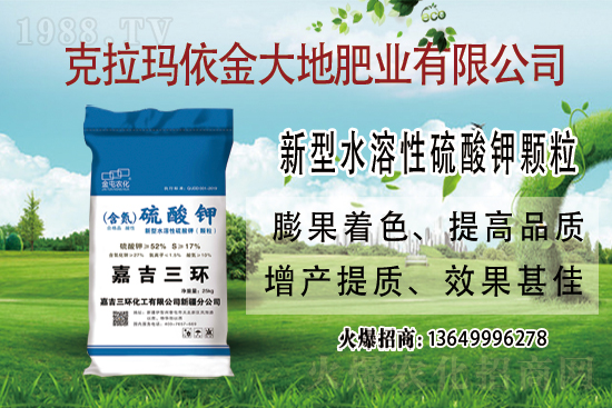 鉀肥市場(chǎng)保持堅(jiān)挺走勢(shì)！今日鉀肥價(jià)格走勢(shì)及交易日評(píng)