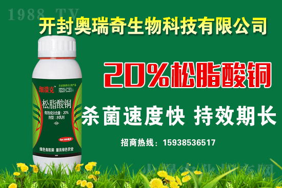 �W��������𱬁��u���y��1988.TV�_���W�j������������