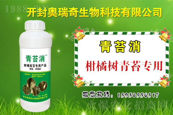 �W��������𱬁��u���y��1988.TV�_���W�j���������̣�