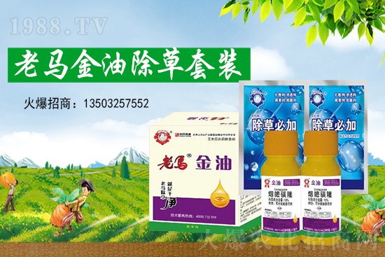 �ݸ�좃r��(chu��ng)�¸���2021��7��15�ղݸ�좃r���߄�