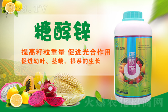 ����a�\�����Ǵ��\���Ǵ��\���ö�����Щ��