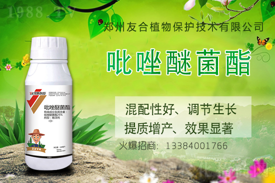 �����Ѿ���