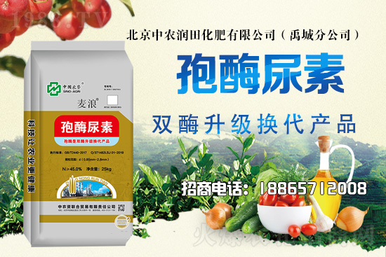 ��(z��i)�����Ｐ�r(sh��)��ˮɢ�����ƌW(xu��)�������ò��x������