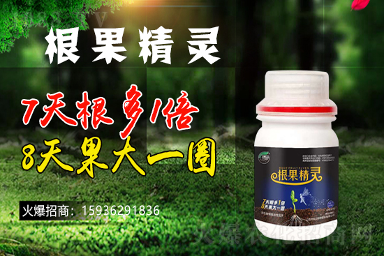 以色列戈蘭再續(xù)1988.TV，共謀合作新發(fā)展！