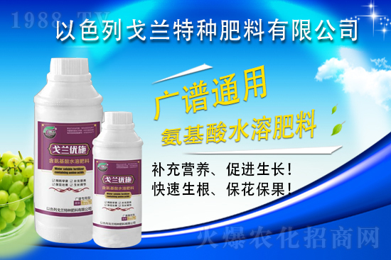 以色列戈蘭再續(xù)1988.TV，共謀合作新發(fā)展！