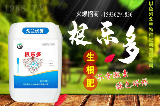 以色列戈蘭再續(xù)1988.TV，共謀合作新發(fā)展！