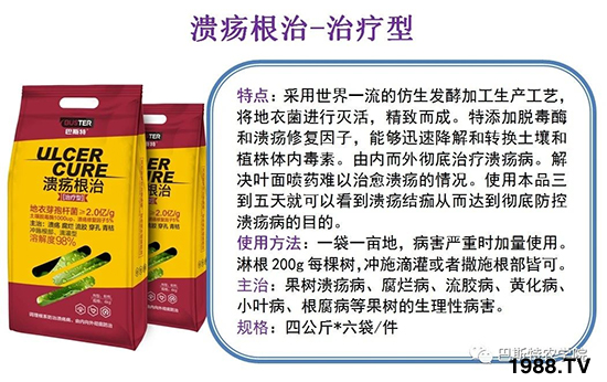 2021��8��12�ձ��h(hu��n)�򚢾����r(ji��)���߄�