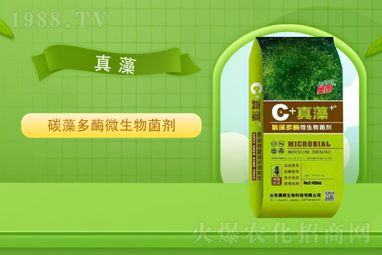 ɽ�|�W�������ٺ�1988.TV���y�ִ����������E��