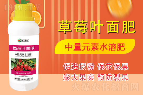 �����l(f��)չ������(chu��ng)δ�����������ﺞ�s1988.TV������(chu��ng)���x�ͣ�