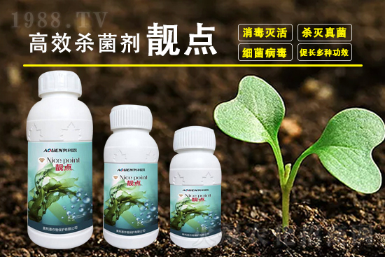 2021��8��27�ձ��h(hu��n)�򚢾����r(ji��)������