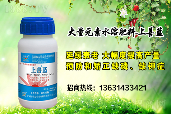 �V���������r(n��ng)�ٶȔy��1988.TV���y�ֹ���(chu��ng)��(zh��n)����