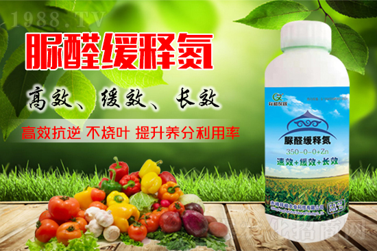 ������(w��n)�r���h֮�����؃r�����������