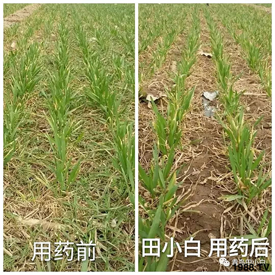 С���s������(ji��)��(ji��)�����E�ɞ�(z��i)����ô�k��С�����݄���ô�x