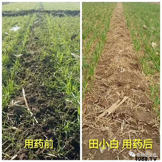 С���s������(ji��)��(ji��)�����E�ɞ�(z��i)����ô�k��С�����݄���ô�x