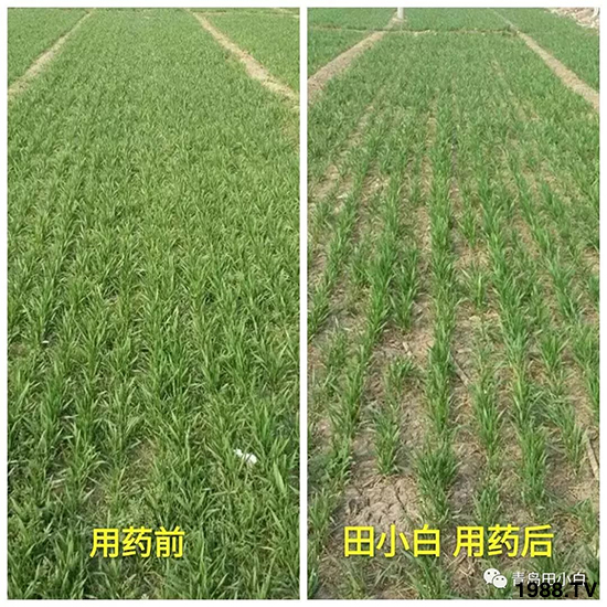 С���s������(ji��)��(ji��)�����E�ɞ�(z��i)����ô�k��С�����݄���ô�x