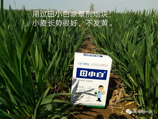 С���s�ݣ���(ji��)��(ji��)�����E�ɞ�(z��i)����ô�k��С�����݄���ô�x