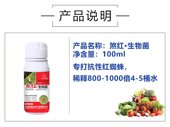 ɷ�t�������-Ξ���x_03