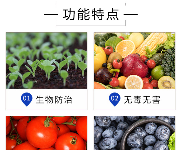 ɷ�t�������-Ξ���x_04